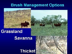 slide 11