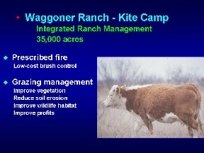 slide 14
