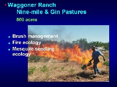 slide 16