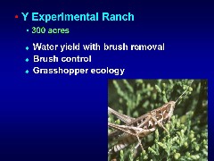 slide 17