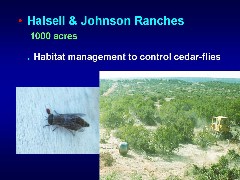 slide 18