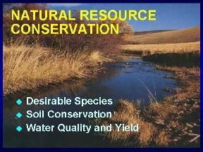 slide 9
