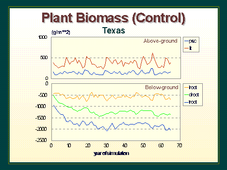 TXplants